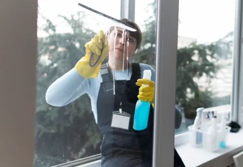 Nettoyage de vitres intérieures et extérieures à Puchay